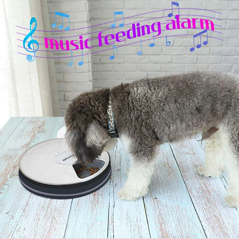 Automatic Feeder Pet Dog Round Timing Feeder 6 Meals 6 Grids Cat Dog Electric Dry Food Dispenser 24 Hours Feed Pet Supplies